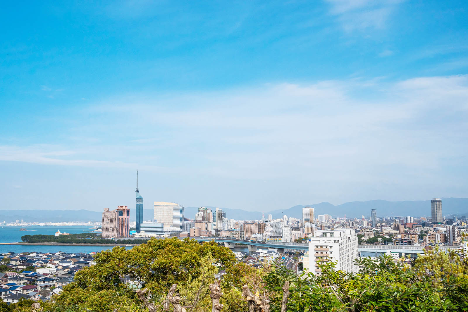 コンテンツメニュー画像